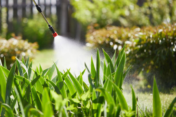 Tamper-Resistant Bait Stations for Rodents in Gloucester City