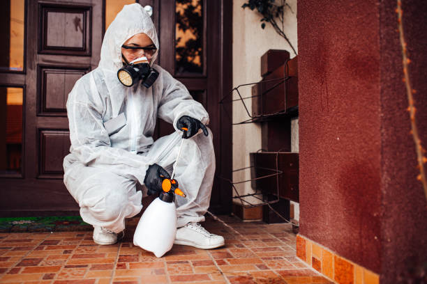 Attic and Crawl Space Rodent Treatment in Gloucester City