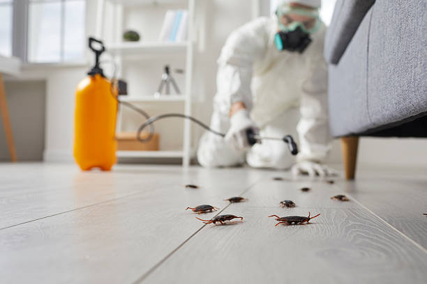 Commercial Rodent Management in Gloucester City